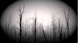 Watch Wyrd Pale Forest video