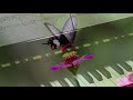 6 Hour Relaxing Piano Music Meditation Music Relaxing Music Soft images 6 Hour Relaxing Piano Music Meditation Music Relaxing Music Soft