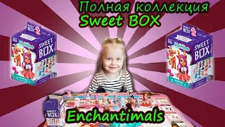 Полная Коллекция Sweet Box Enchantimals | Обзор Коллекции Свит Бокс