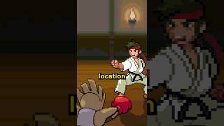 Karate Masters Hidden Surprise
