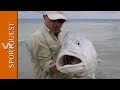 Fly Fishing For GT's On Christmas Island