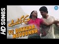 Ye Dikkuna Nuvvunna Video Song - Yuvasena Movie | Sharwanand | Bharath | Jassie Gift