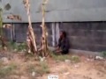 image Lucu Orang Gila Masturbasi Pinggir Jalan