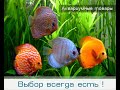 Видео Акватовары - Круглый аквариум Aquael - комплект