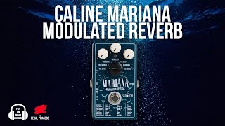 Caline Mariana Reverb
