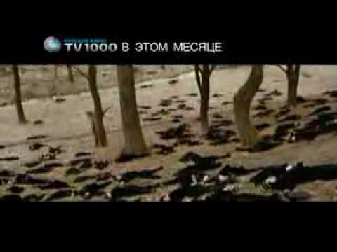 Адмиралъ на TV1000 Русское кино