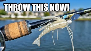Best Pond Fishing Lure For Fall