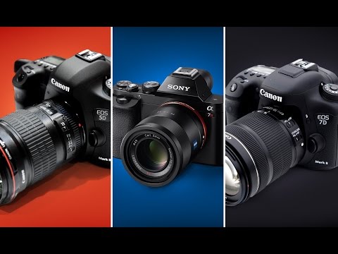Starting in Photography? Here are My Tips for What Camera Gear to Buy - PLP #173 Starting in Photography? Here are My Tips for What Camera Gear to Buy - PLP #173