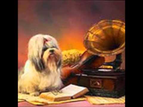 Lucas En Gea Hulshof - Jij Wil Vrij Zijn