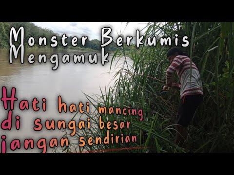 Kali ini memang buat pancing ku benar benar melengkung tajam | Mancing ikan baung monster
