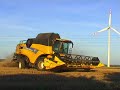 Cx8070 i cx8030 kombajny new holland w akcji żniwnej
