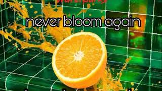 Never Bloom Again (Backvocals)- Waterparks