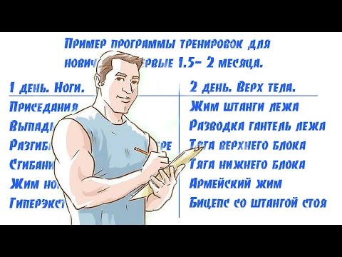 Программа по бодибилдингу для начинающих Программа по бодибилдингу для начинающих