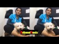 Priyanka Vijay tv Anchor _ hot boobs bouncing with her cute dog video _ must watch