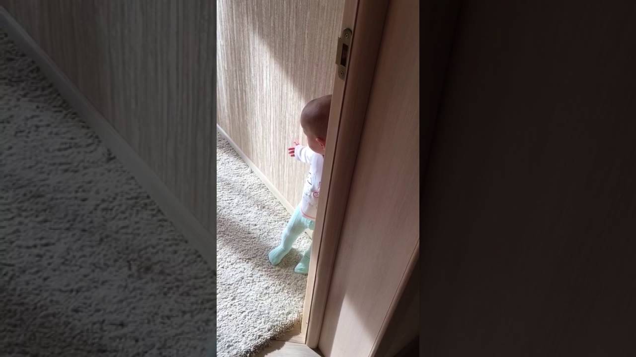 Самка стала в угол