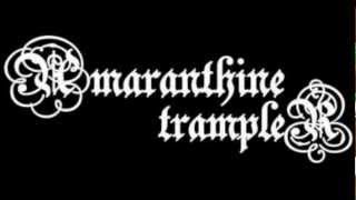 Watch Amaranthine Trampler The Box video
