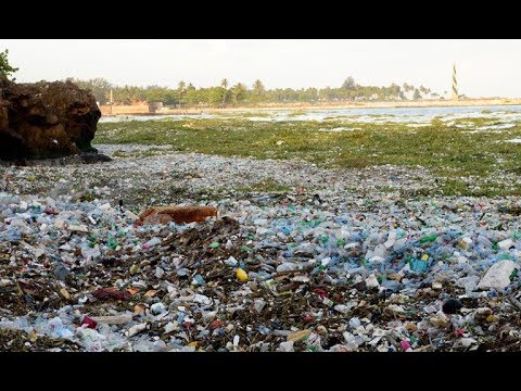 Así está la basura en el Malecón de Santo Domingo INCREÍBLE PERO CIERTO