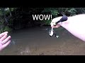 UNEXPECTED ENCOUNTER with a RARE ANIMAL | crooked creek trout fishing