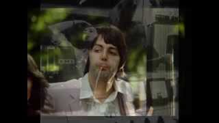 Watch Beatles Why Dont We Do It In The Road video
