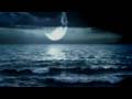 Moonlight Shines - David Wilcock & Larry Seyer