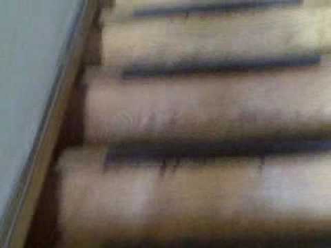 Philadelphia: 2644 Braddock