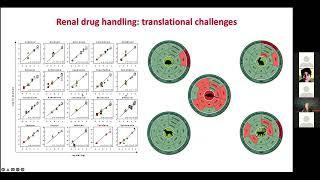Kidney-Based In Vitro Modeling