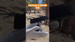 Sig Sauer P 365 Bb Gun