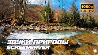 Живая Природа - Река | Звуки Природы | Звуки Реки | Шум Воды | Релаксация | Белый Шум | Заставка Тв