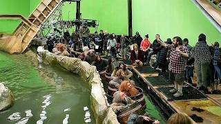 The Hobbit The Desolation Of Smaug - Behind The Scenes, Vfx & Cgi Breakdowns