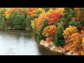 IGOR KRUTOY - Autumn Sonata
