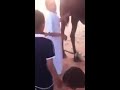 مص ديد