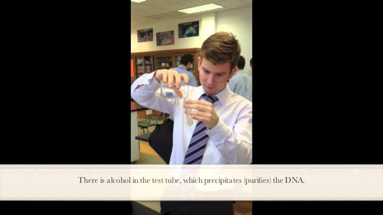 extracting dna from bananas extracting dna from bananas