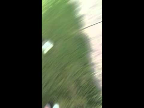 Butt Sex Video