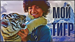 'Мой Тигр' — Свежий Взгляд На Дружбу Ребёнка И Тигрёнка