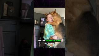 Diese Frau Hat Jeden Tag Mit Dem Hund Im Bett Geschlafen