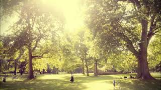 "Kommen und Gehen" | Mario im Park
