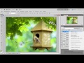 Видео уроки по работе с Photoshop. (Елена Минакова) Видео уроки по работе с Photoshop. (Елена Минакова)