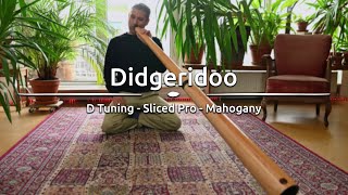 Meinl Sonic Energy - Sliced Pro Didgeridoo, Tuning D, DDPROFNTD, played by Tayfun Schulzke