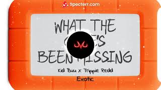 Kid Buu X Trippie Redd - Exotic