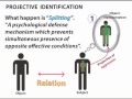 identification
