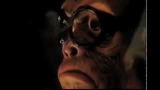 The Killers - Zombie Hands