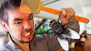 DIE YOU DAMN FLY! | Fly In The House