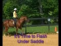 Booley Under Saddle