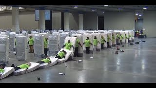 Top 5 WEIRDEST DOMINOES Falling Game Oddly Satisfying Video NEW