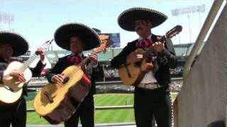 La Guacamaya -TRIO SOL DE AMERICA