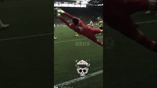 NmfHokHZb2U Video Image
