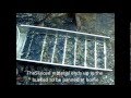 Watch Day Trip Gold Sluicing & Panning @ Adelong Snowy Mtns, NSW Video