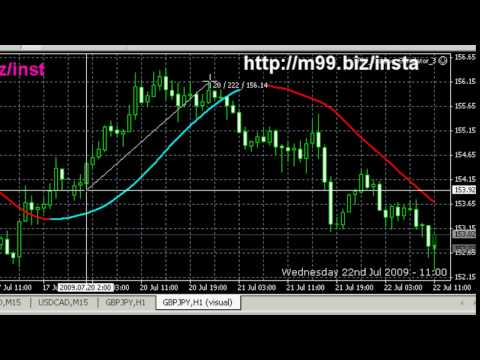 forex indicator showing the time