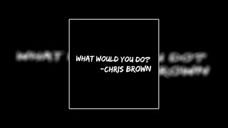 Video What Would You Do Chris Brown