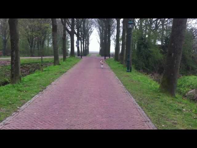 Hond komt hier zonder te roepen